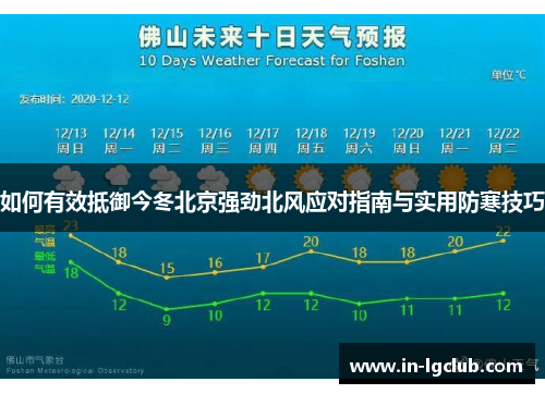 如何有效抵御今冬北京强劲北风应对指南与实用防寒技巧