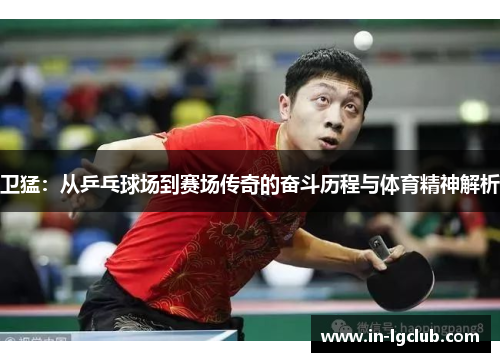 卫猛：从乒乓球场到赛场传奇的奋斗历程与体育精神解析