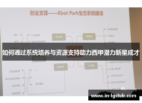 如何通过系统培养与资源支持助力西甲潜力新星成才