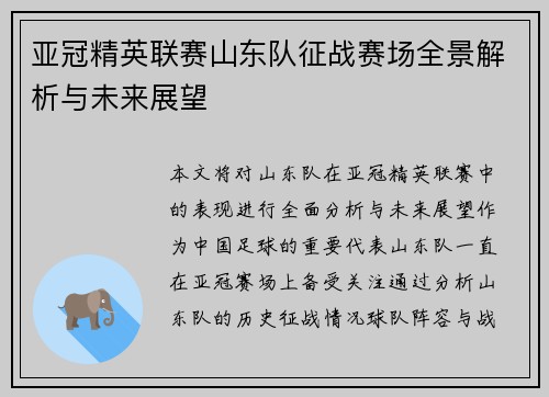 亚冠精英联赛山东队征战赛场全景解析与未来展望 亚冠精英联赛山东队征战赛场全景解析与未来展望