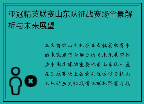 亚冠精英联赛山东队征战赛场全景解析与未来展望
